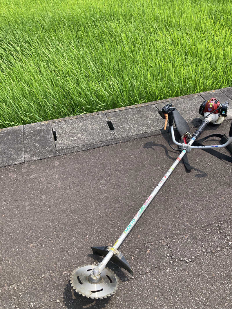 ♨️taぁくん♨️さんの御前崎市民プール すいすいパーク ぷるるのサ活写真