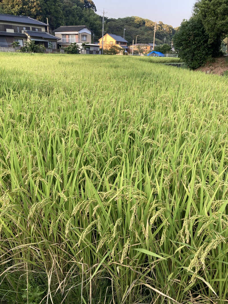 ♨️taぁくん♨️さんの御前崎市民プール すいすいパーク ぷるるのサ活写真