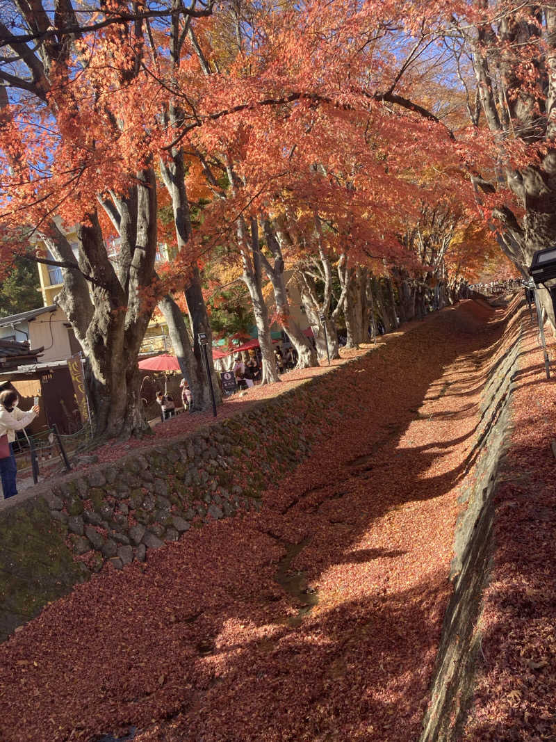 ♨️taぁくん♨️さんの富士山溶岩の湯 泉水(リゾートイン芙蓉)のサ活写真