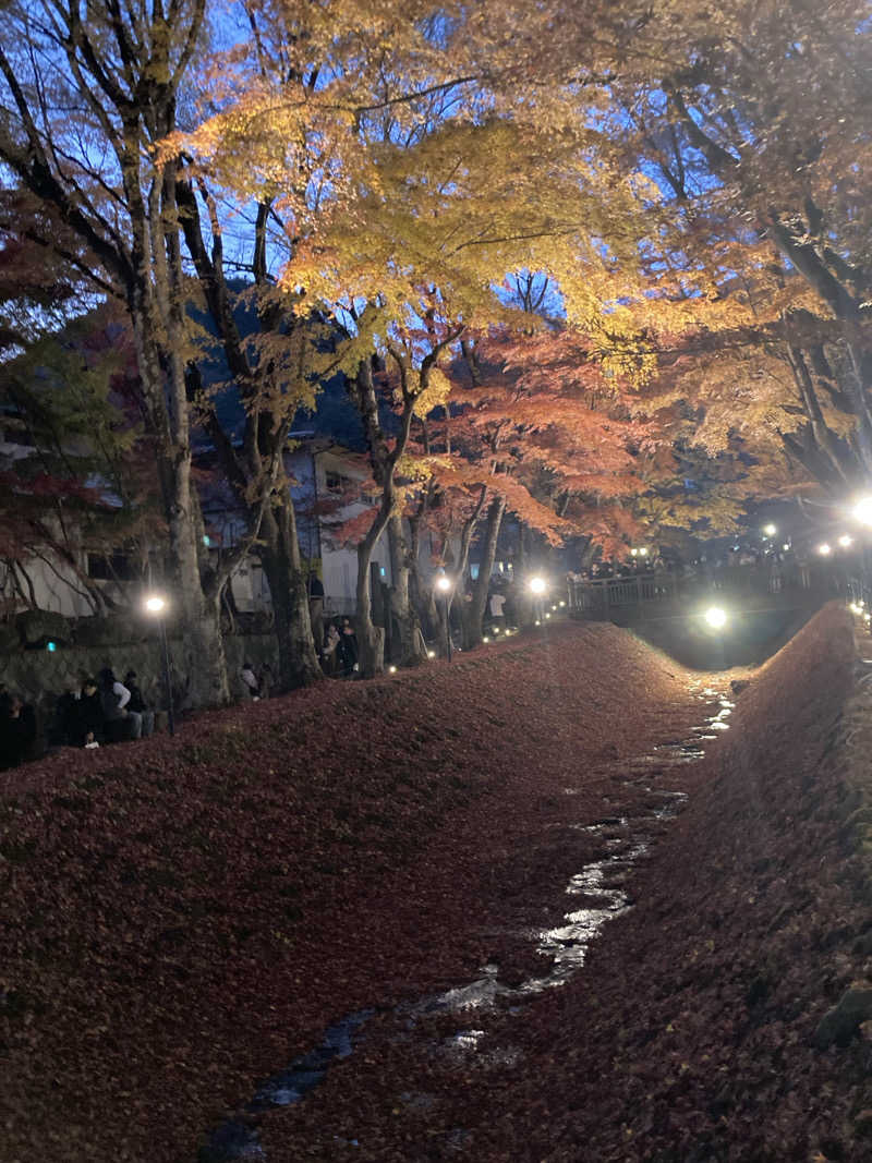 ♨️taぁくん♨️さんの富士山溶岩の湯 泉水(リゾートイン芙蓉)のサ活写真