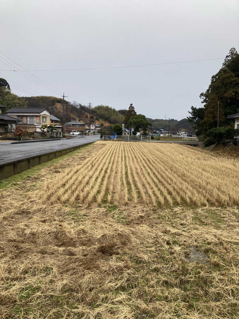 ♨️taぁくん♨️さんの御前崎市民プール すいすいパーク ぷるるのサ活写真