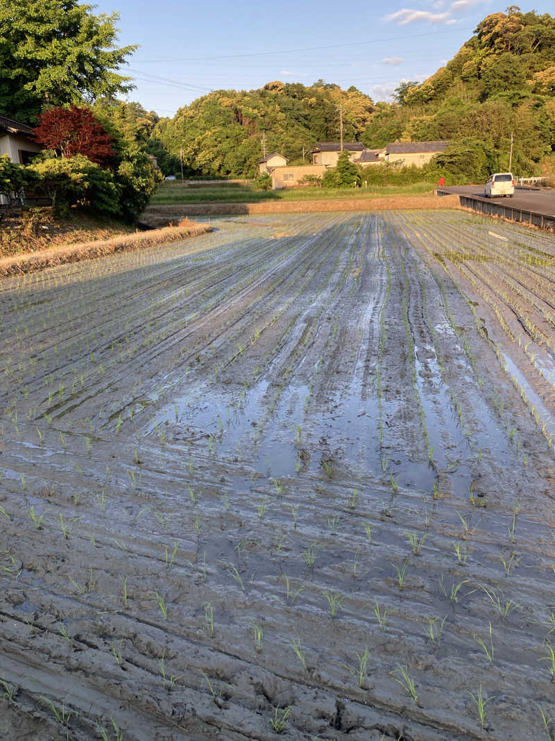♨️taぁくん♨️さんの御前崎市民プール すいすいパーク ぷるるのサ活写真