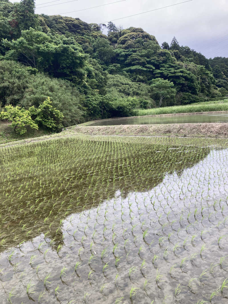 ♨️taぁくん♨️さんの御前崎市民プール すいすいパーク ぷるるのサ活写真