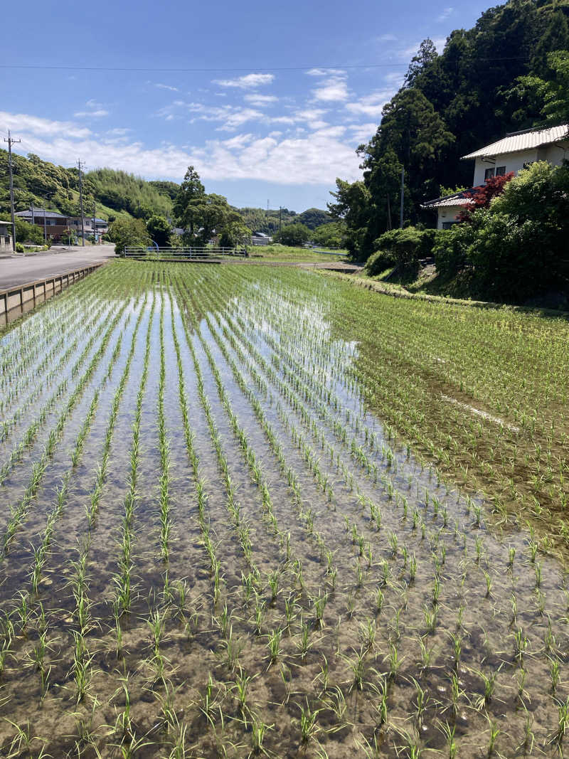 ♨️taぁくん♨️さんの御前崎市民プール すいすいパーク ぷるるのサ活写真