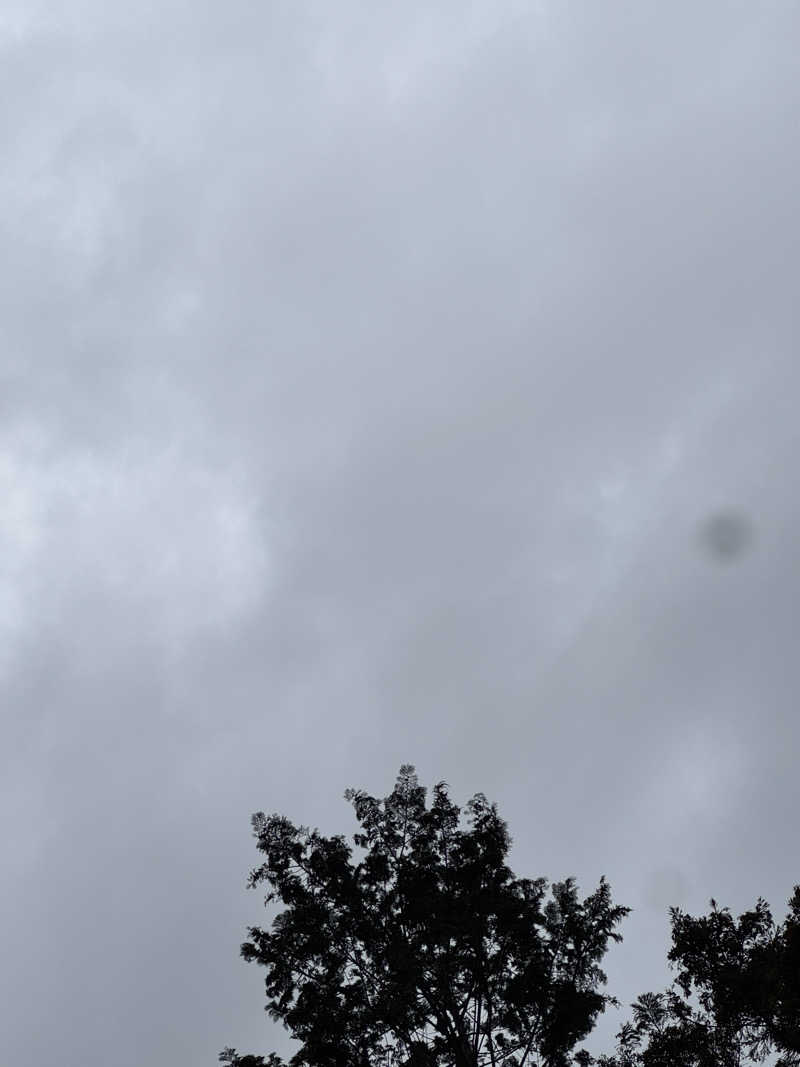 しゅが（サ湯）さんの公衆アウトドアサウナ ノサウナのサ活写真