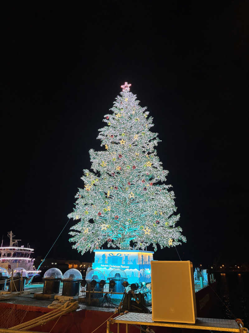 みのさんさんのラビスタ函館ベイのサ活写真