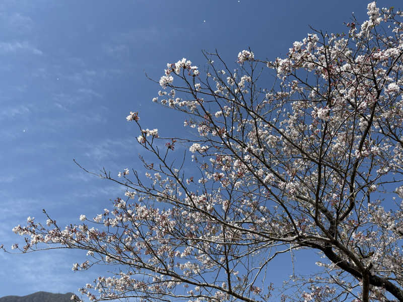 tokuさんのすきむらんど温泉 かじかの湯のサ活写真