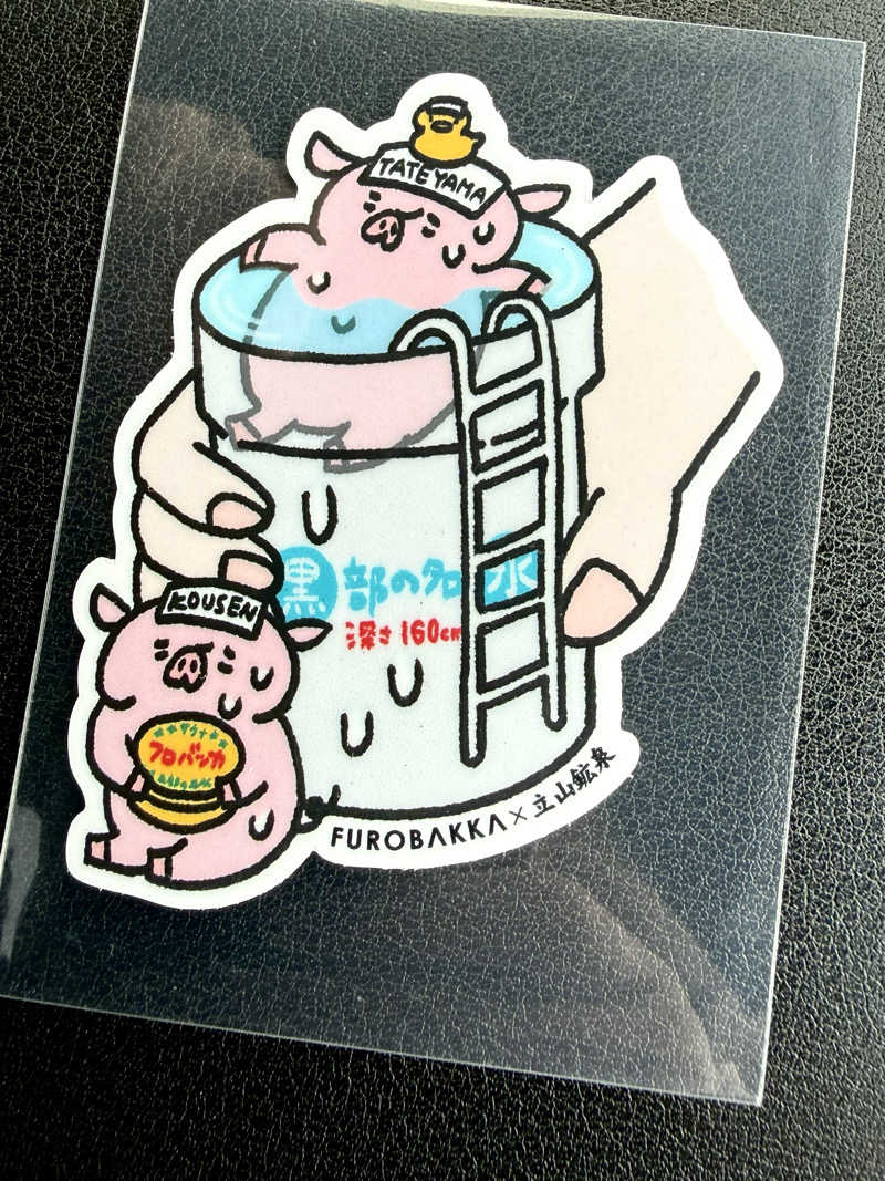 ぞうさんの湯屋 FUROBAKKA(フロバッカ)のサ活写真