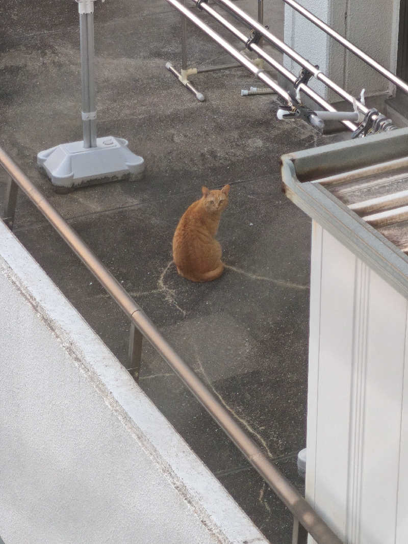 sさんのホテルクレシオ呉本通りのサ活写真