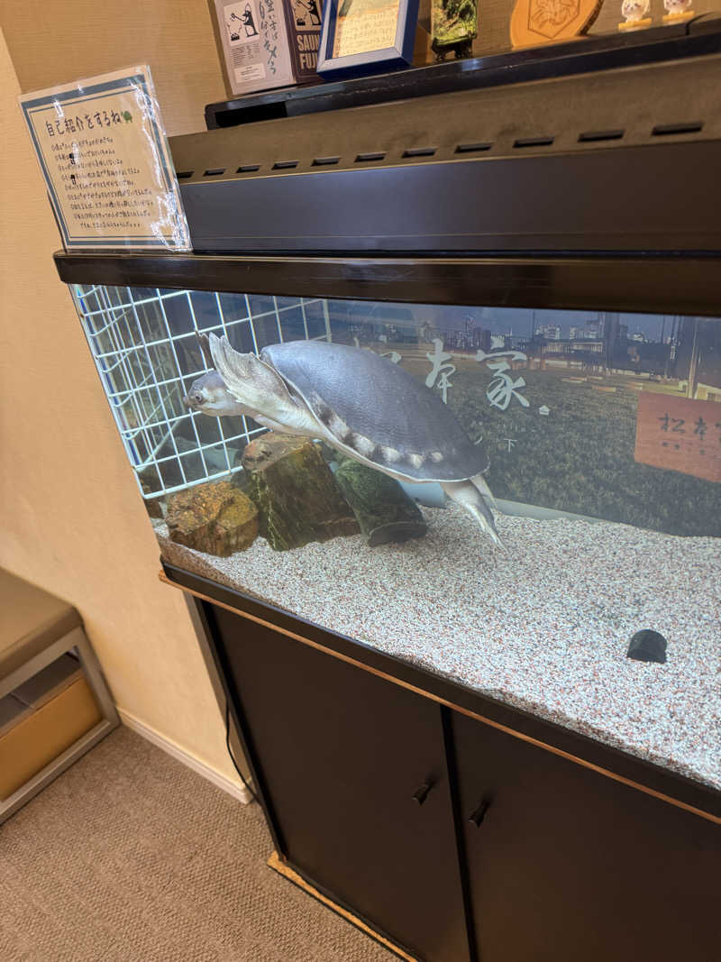 カズさんの松本湯のサ活写真