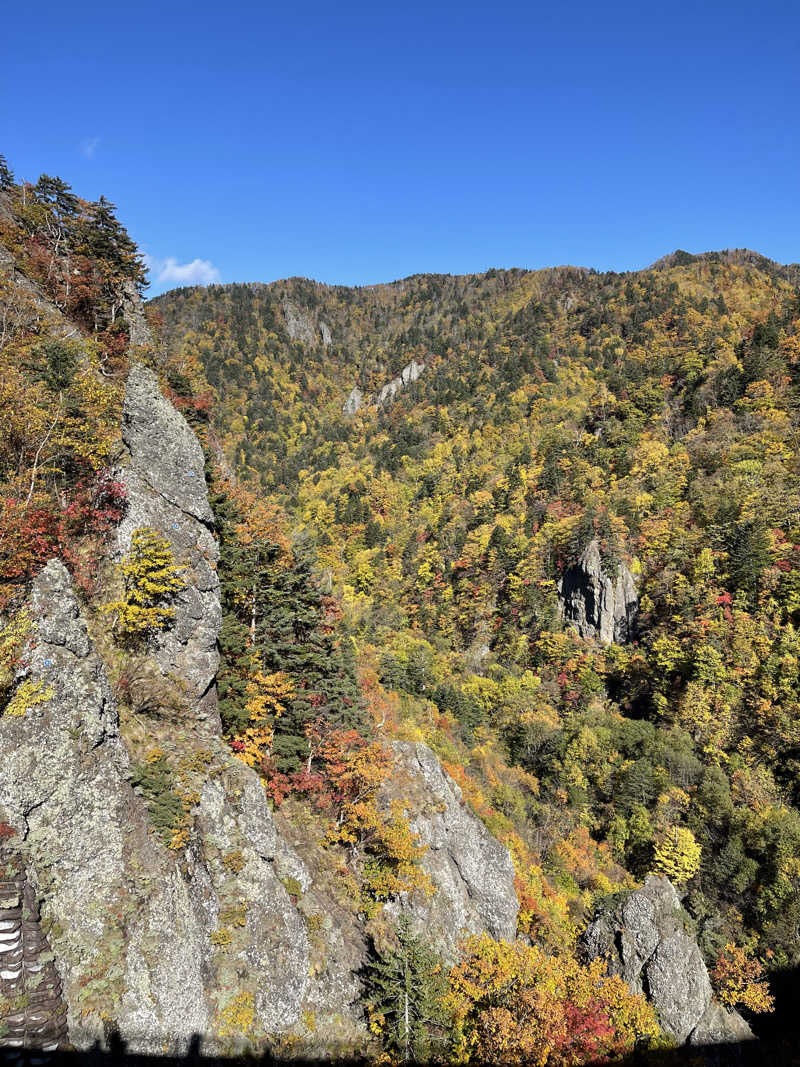 みきっきさんさんの定山渓温泉 湯の花のサ活写真