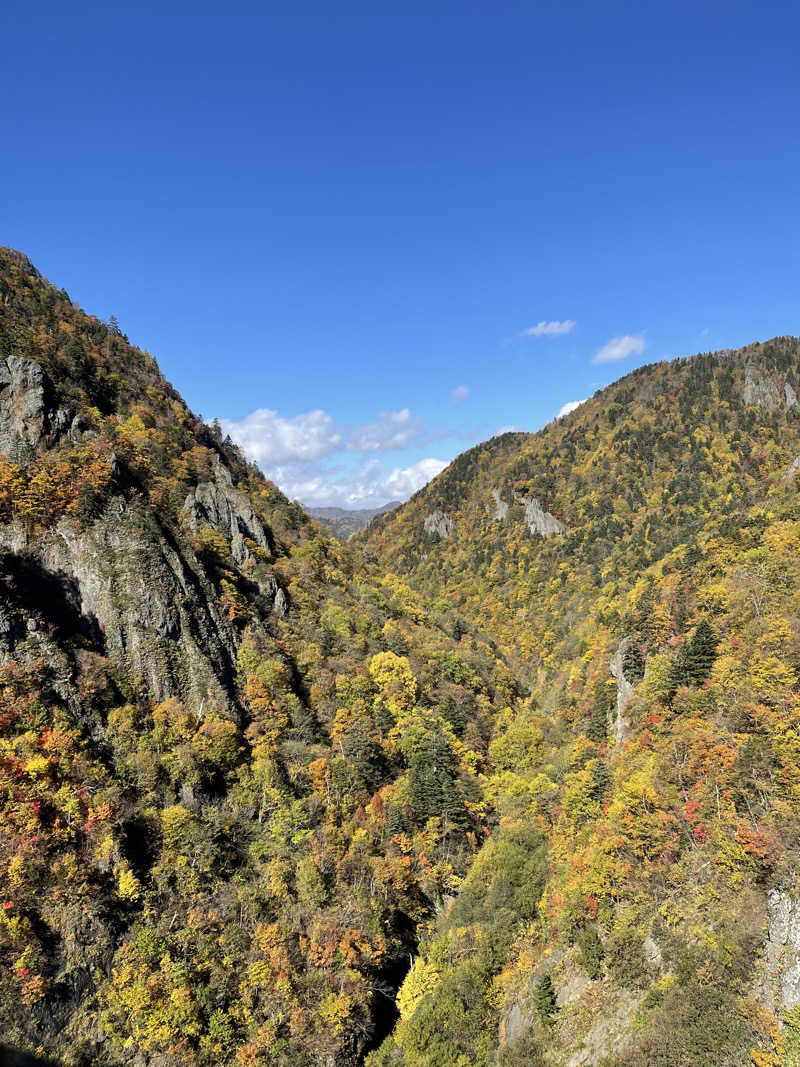 みきっきさんさんの定山渓温泉 湯の花のサ活写真