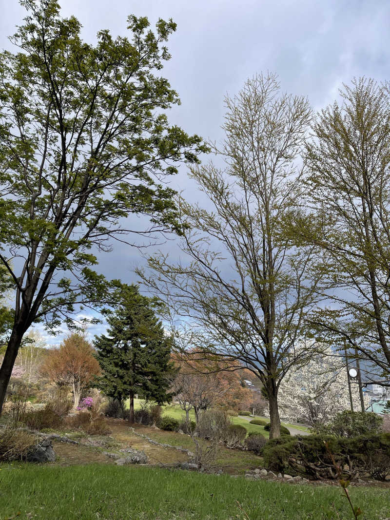 みきっきさんさんの湯の花手宮殿のサ活写真