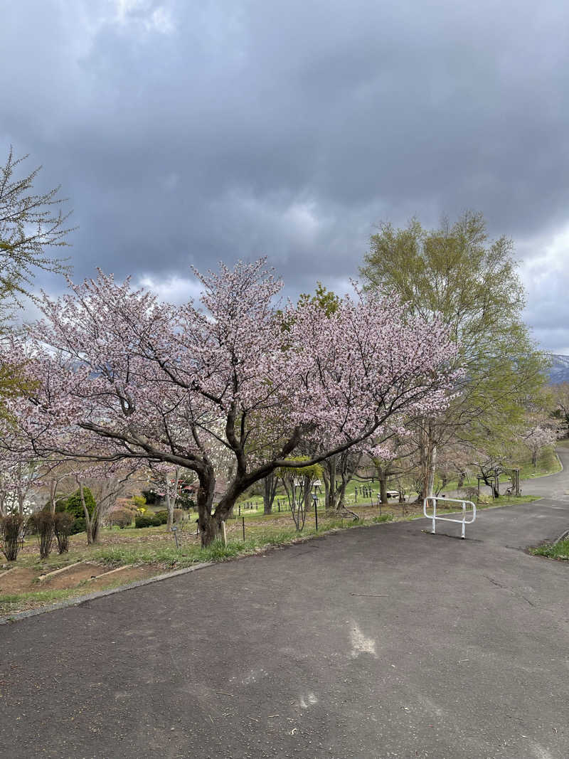 みきっきさんさんの湯の花手宮殿のサ活写真