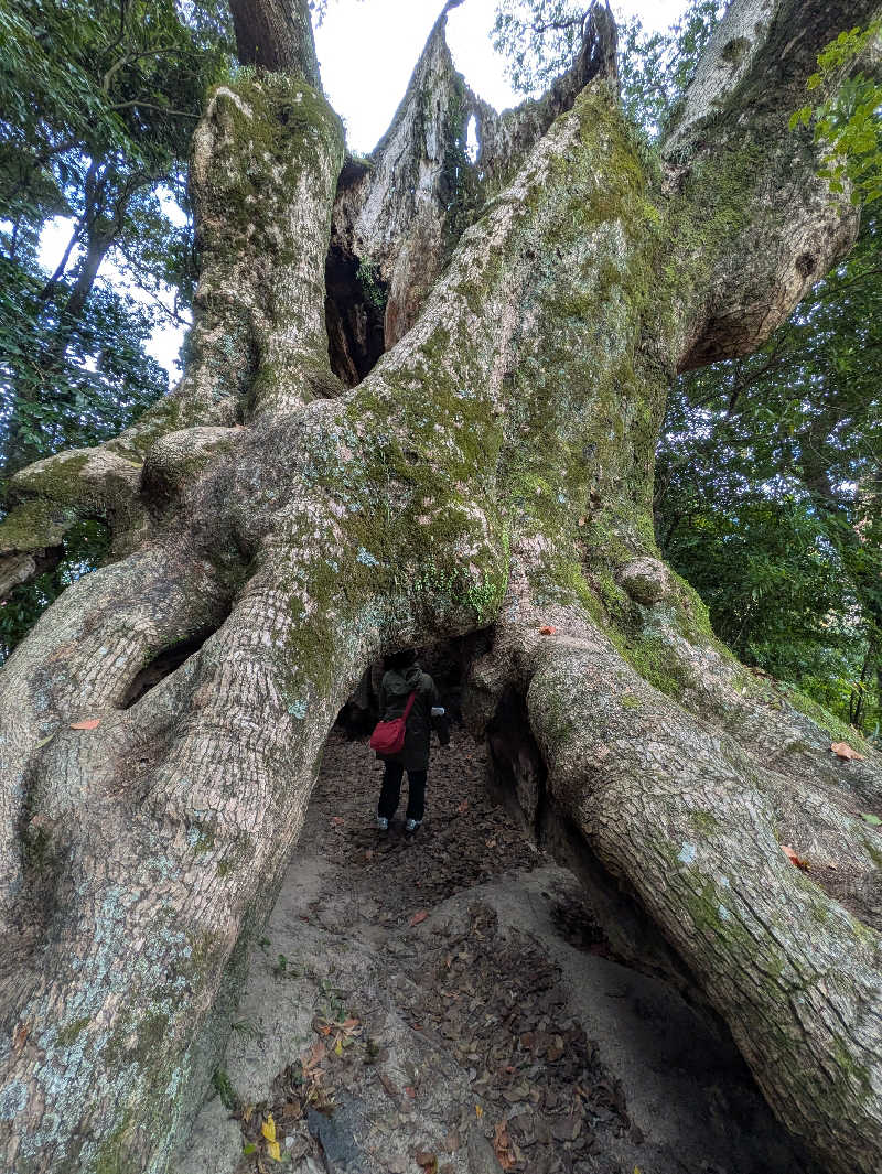 当然さんさんの御船山楽園ホテル  らかんの湯のサ活写真