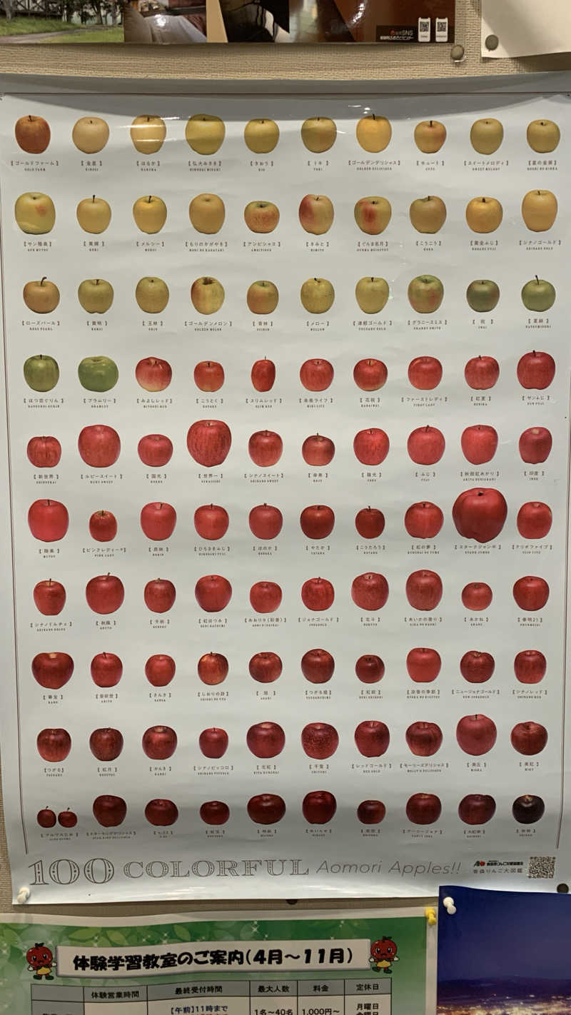 kazoo73jpさんの板柳町ふるさとセンター 青柳館 ふるさと温泉のサ活写真