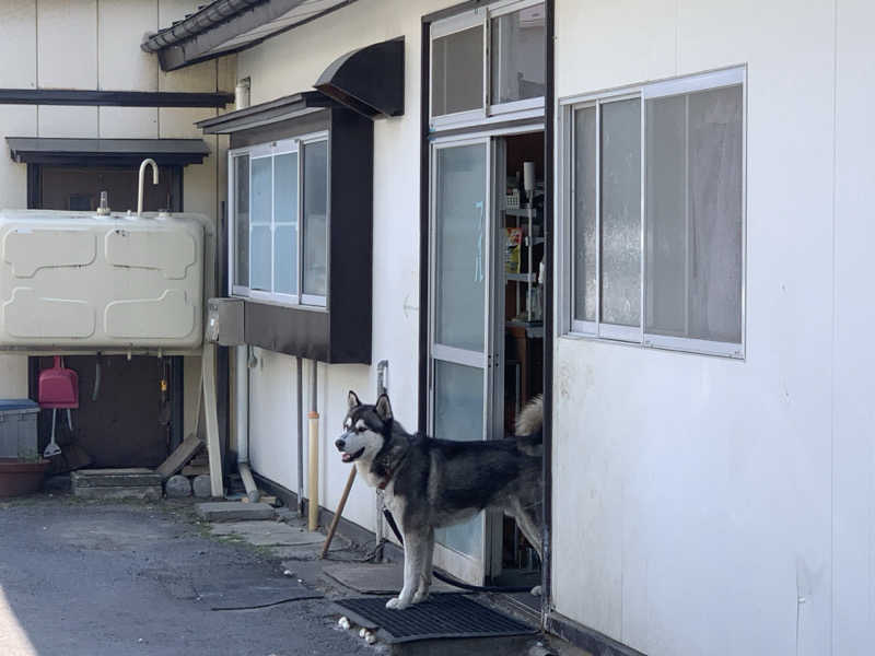 kazoo73jpさんの松の湯のサ活写真