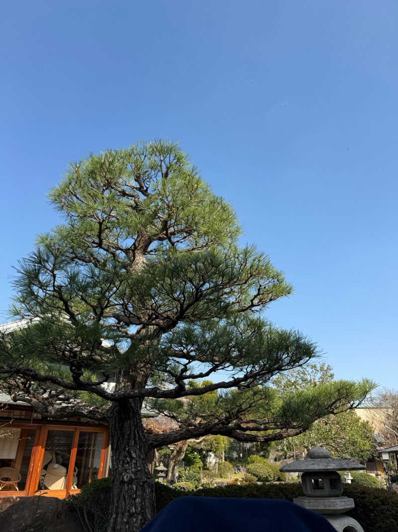 Noriiさんの組紐KOBEのサ活写真