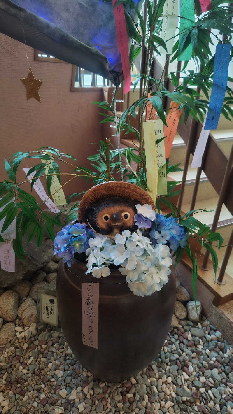 シーザーさんの駿河の湯 坂口屋のサ活写真
