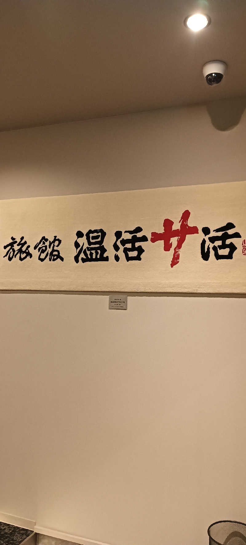 たしろ46さんの旅館 温活サ活のサ活写真