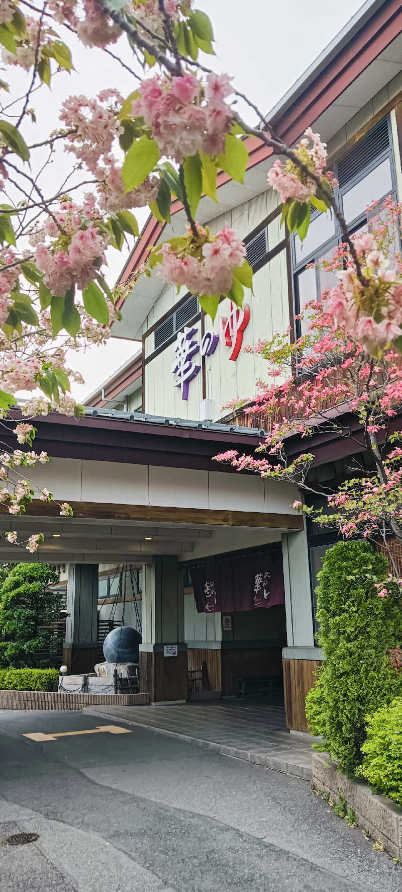 たしろ46さんのスーパー健康ランド華のゆのサ活写真