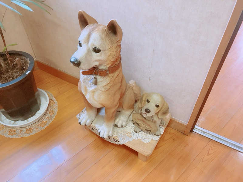 ヨネ（ヨネロッキー）さんの日の出湯のサ活写真