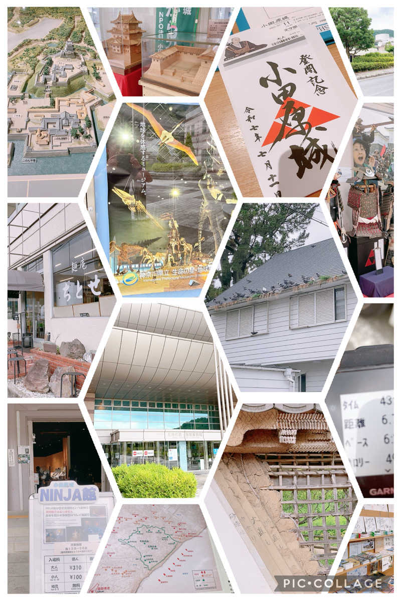 ヨネ（ヨネロッキー）さんの山賊サウナのサ活写真