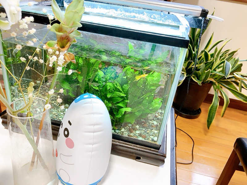 ヨネ（ヨネロッキー）さんの府中 旭湯のサ活写真