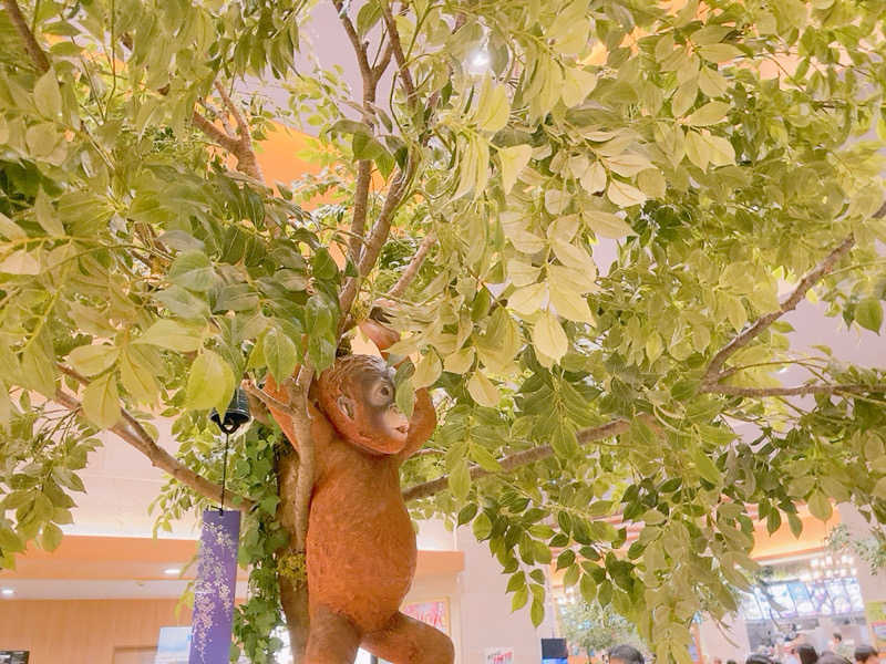 ヨネ（ヨネロッキー）さんのスパジアムジャポンのサ活写真