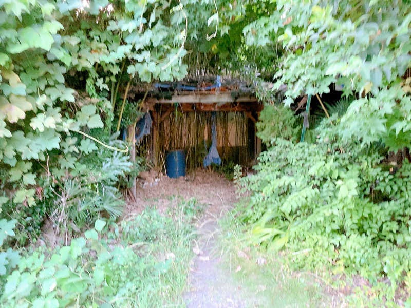 ヨネ（ヨネロッキー）さんの足利健康ランドのサ活写真