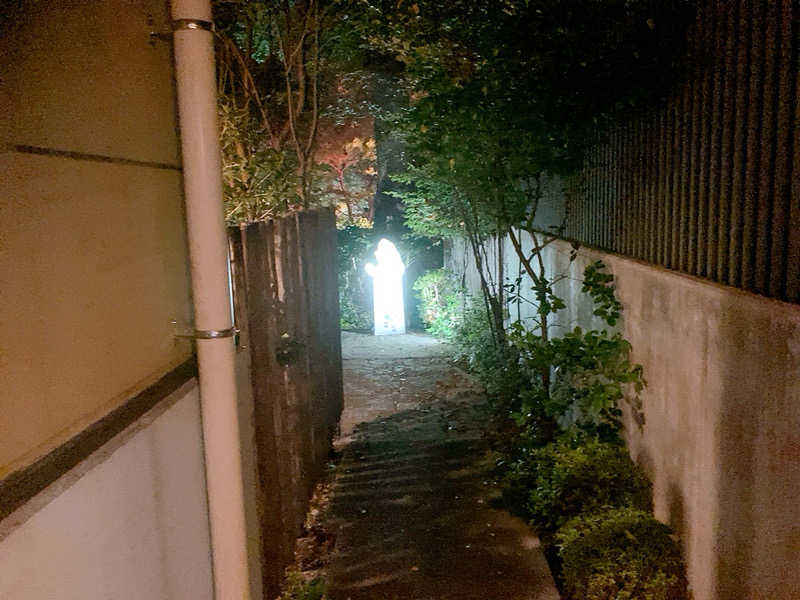 ヨネ（ヨネロッキー）さんの豊島園 庭の湯のサ活写真