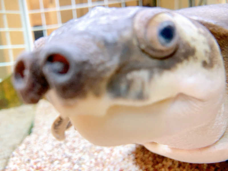 ヨネ（ヨネロッキー）さんの松本湯のサ活写真