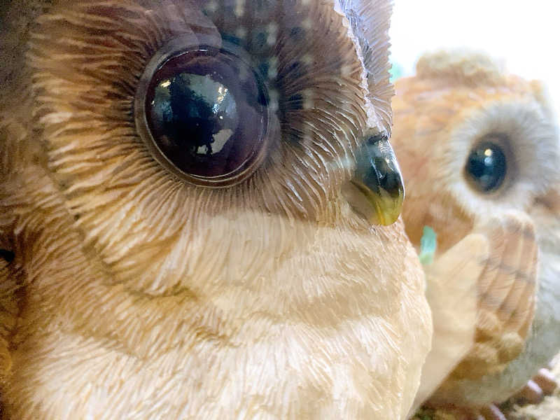 ヨネ（ヨネロッキー）さんのカプセルホテル&サウナ 池袋プラザのサ活写真