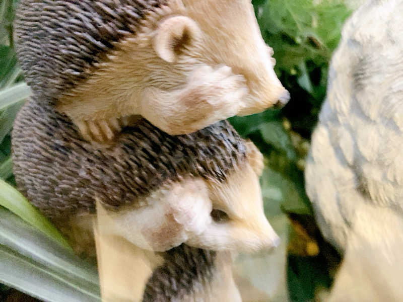 ヨネ（ヨネロッキー）さんのカプセルホテル&サウナ 池袋プラザのサ活写真