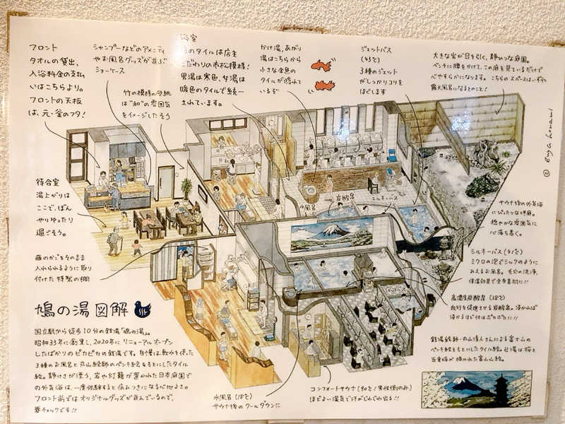 ヨネ（ヨネロッキー）さんの鳩の湯のサ活写真