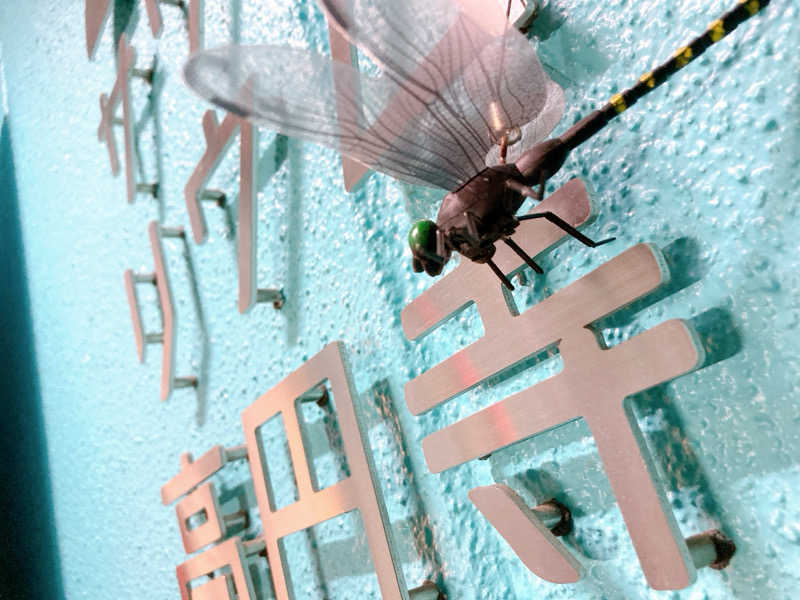 ヨネ（ヨネロッキー）さんのサウナリウム高円寺のサ活写真