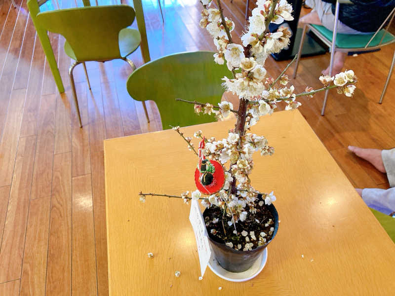 ヨネ（ヨネロッキー）さんのゆ～ポッポのサ活写真