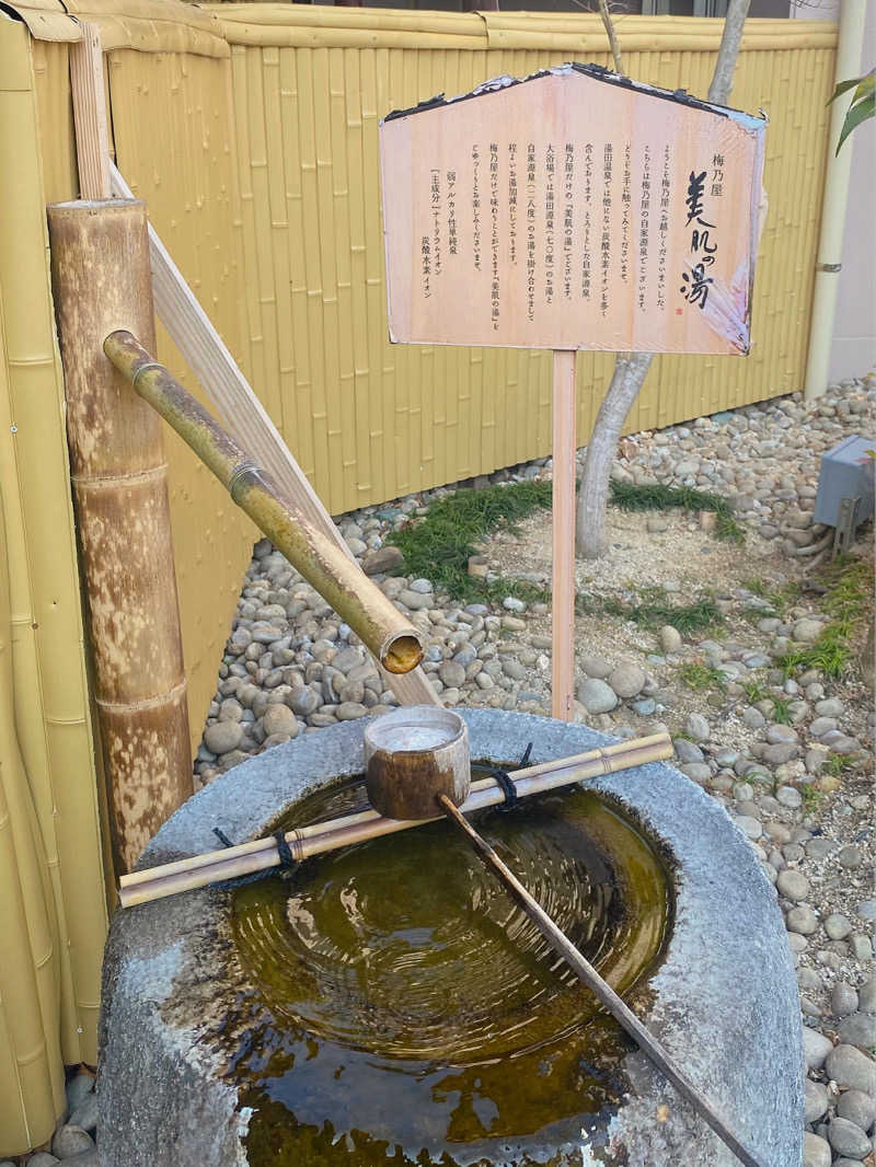 あぴさんの湯の宿、味の宿 梅乃屋のサ活写真