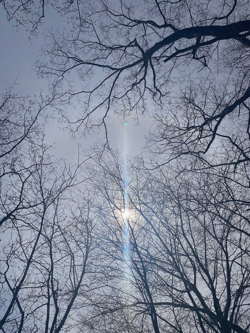 あぴさんの宇部サウナセンターのサ活写真