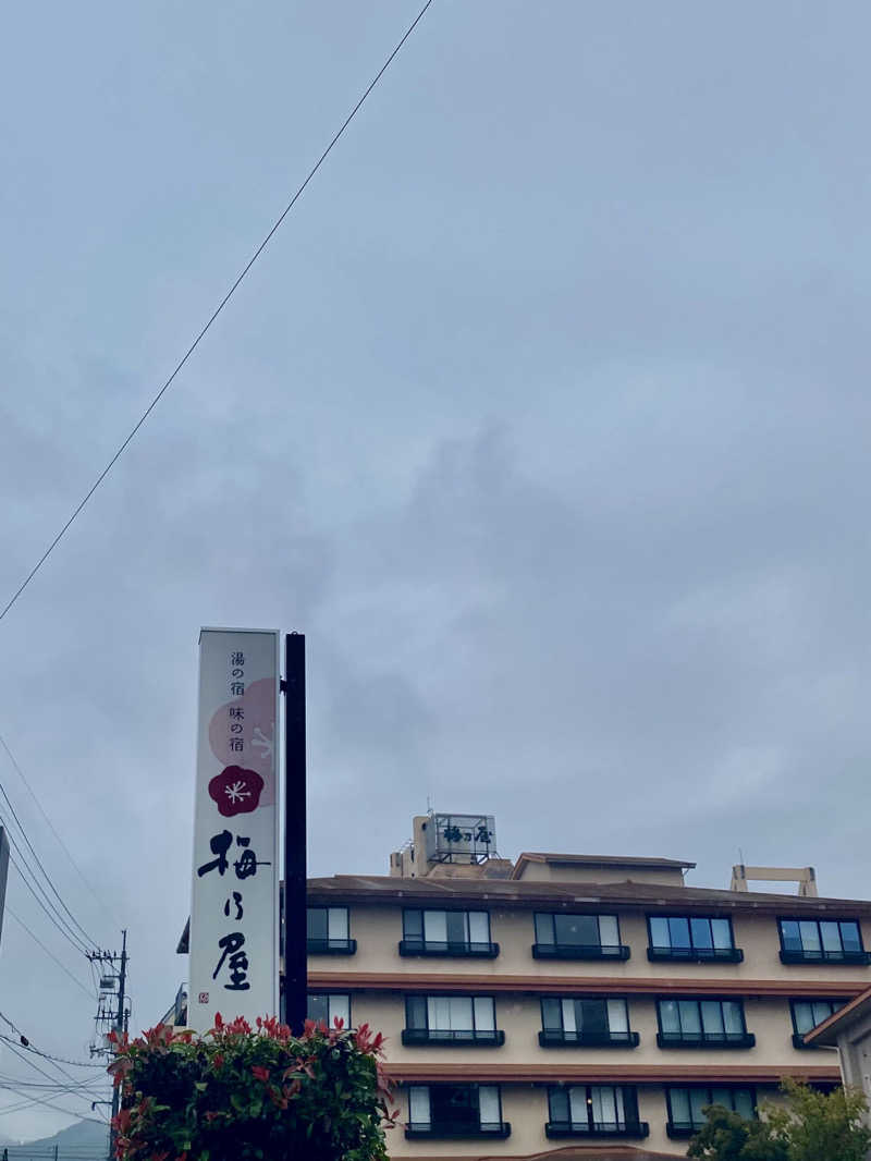 あぴさんの湯の宿、味の宿 梅乃屋のサ活写真