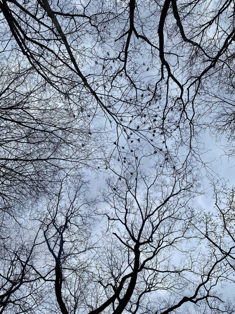 あぴさんの宇部サウナセンターのサ活写真