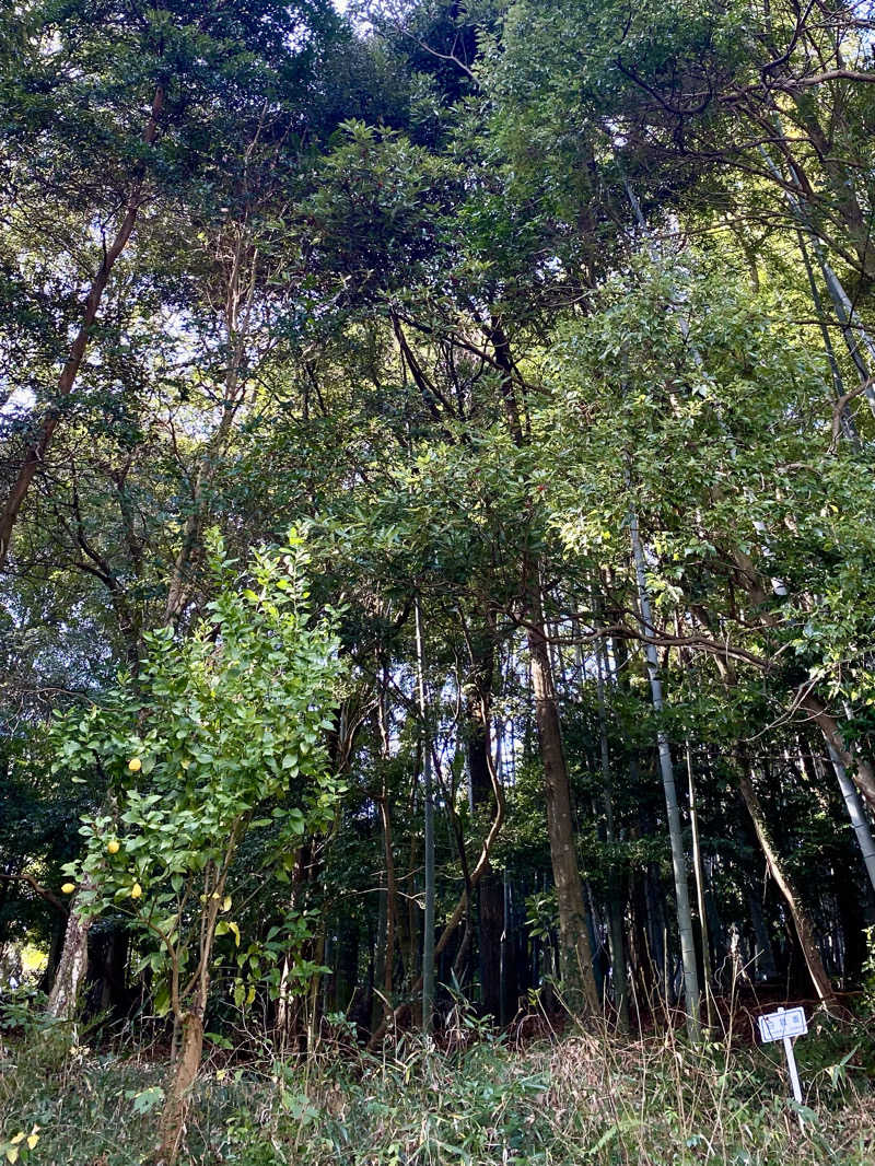 あぴさんの山水園 翠山の湯のサ活写真