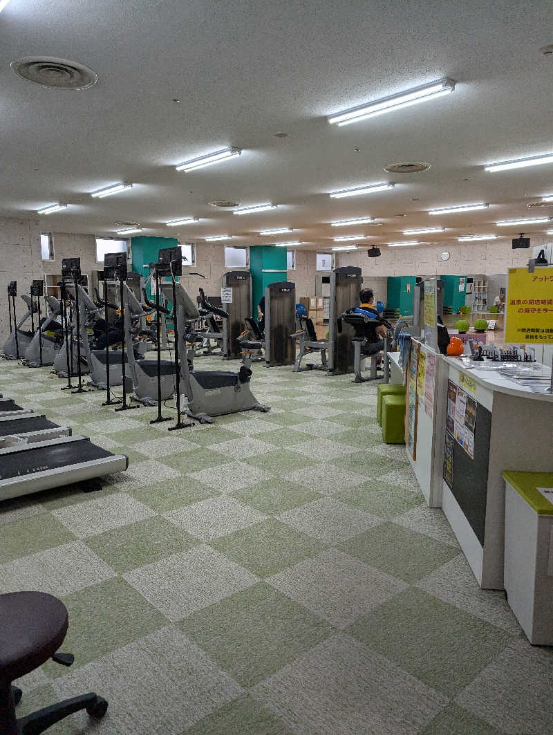 水風呂のマーメイドさんのかすかべ湯元温泉のサ活写真