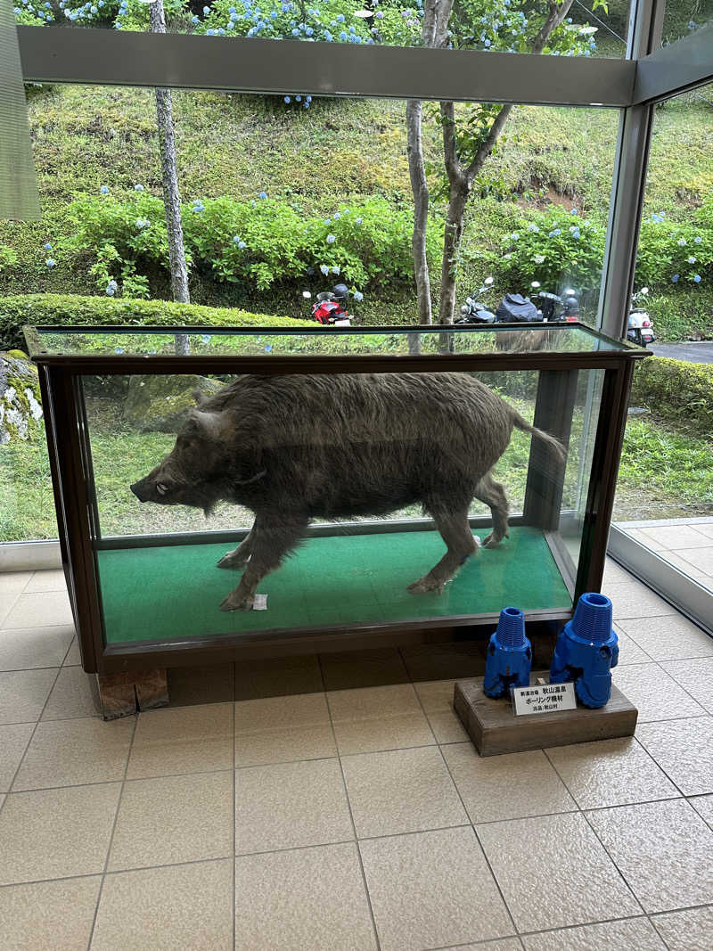 おろぴさんの秋山温泉のサ活写真