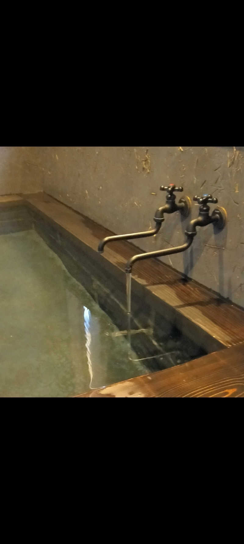 蒸しシッピィさんの湯布院プライベートサウナ&温泉NOGIKU  (湯布院旅館のぎく内)のサ活写真