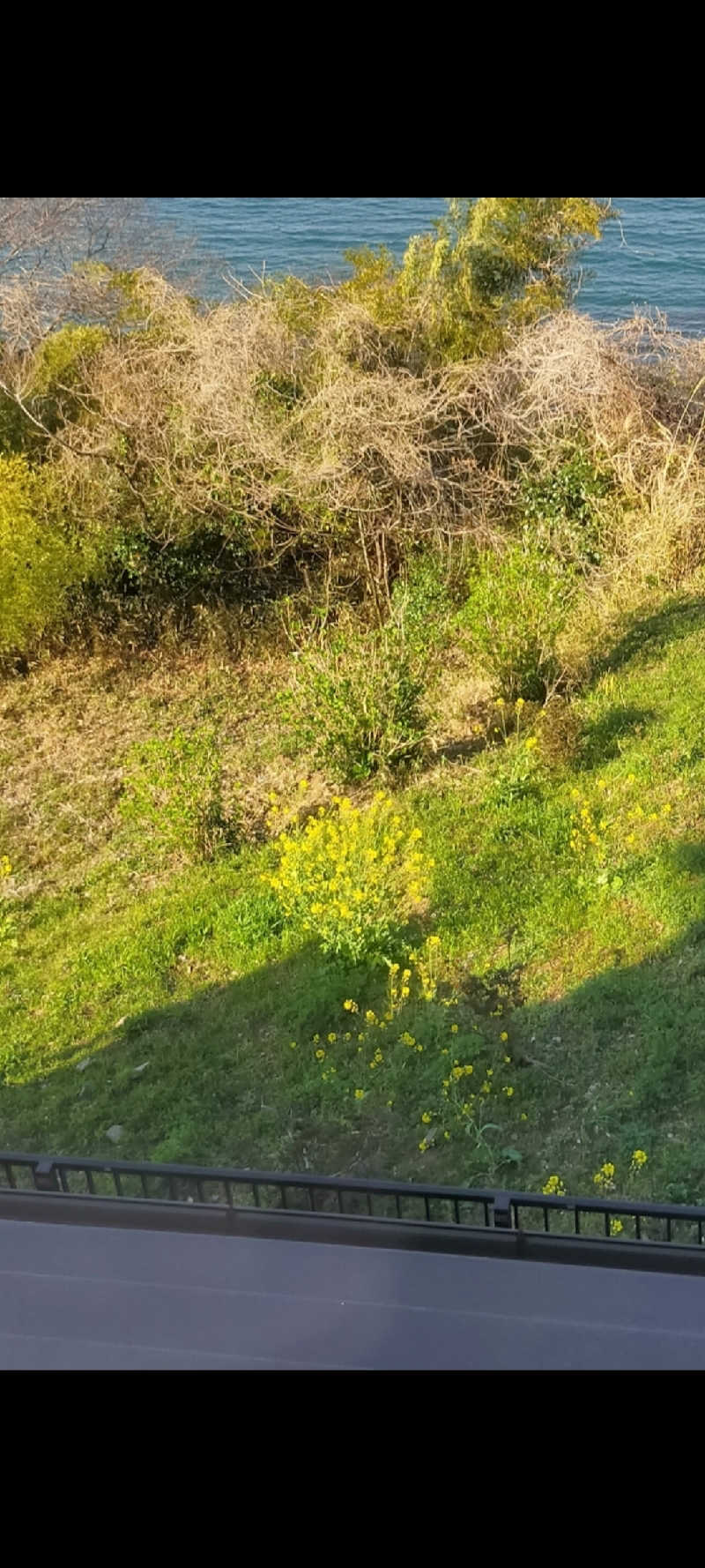 蒸しシッピィさんの天海の湯のサ活写真