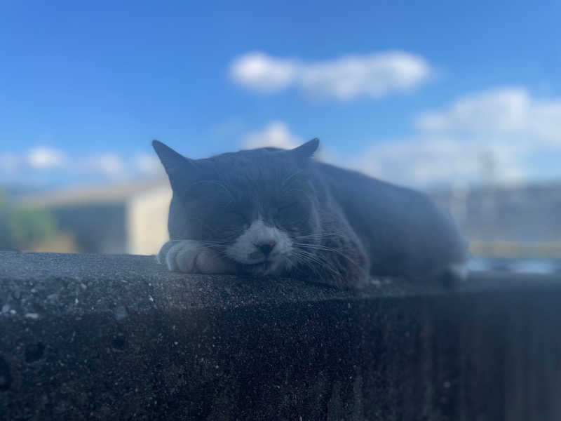 ☁️もくもく☁️さんのシーパの湯のサ活写真