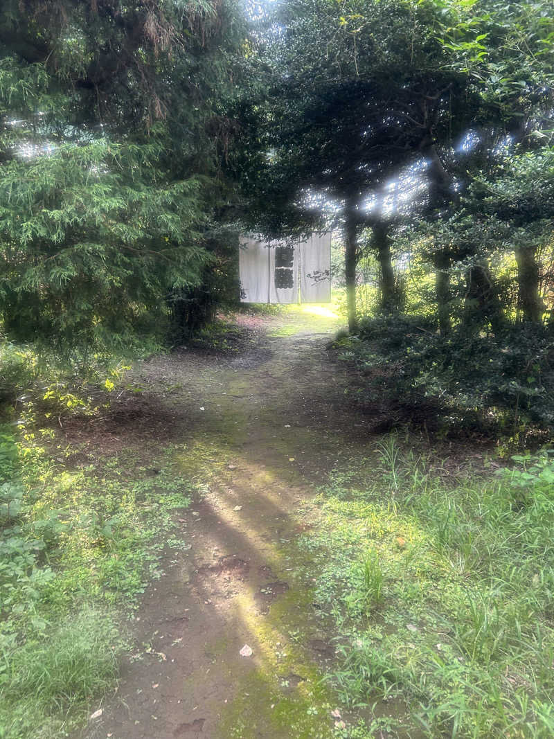 noriさんのサウナ蓑蒸のサ活写真