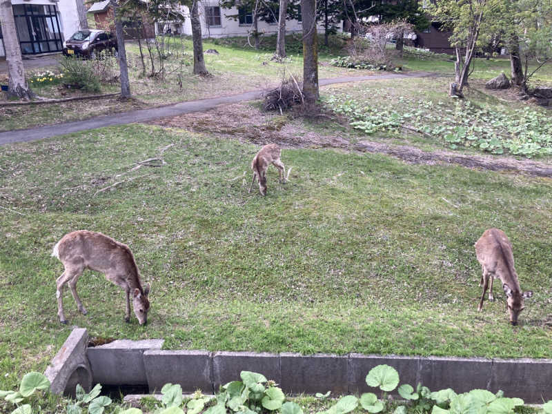 サウナ二郎さんのニュー阿寒ホテルのサ活写真