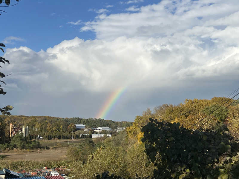 JOYサウナさんのtower eleven onsen & sauna(エスコンフィールド)のサ活写真